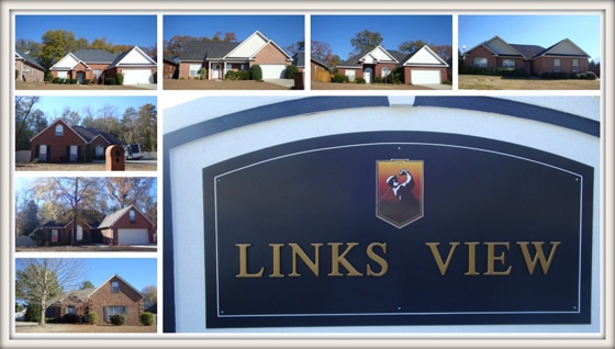 Links View Subdivision - Bonaire GA 31005