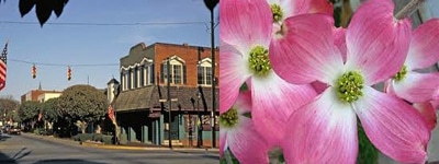 Events in Perry Georgia: 25th Annual Perry Dogwood Festival