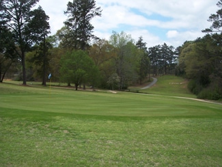 Houston County Georgia Golf Courses