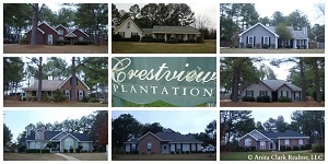 Crestview Plantation Subdivision in Warner Robins Georgia 31088