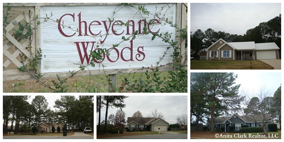 Cheyenne Woods Subdivision in Warner Robins GA 31088