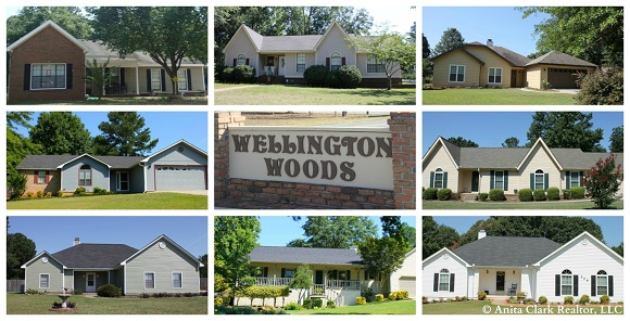 Wellington Woods Subdivision in Warner Robins GA 31093