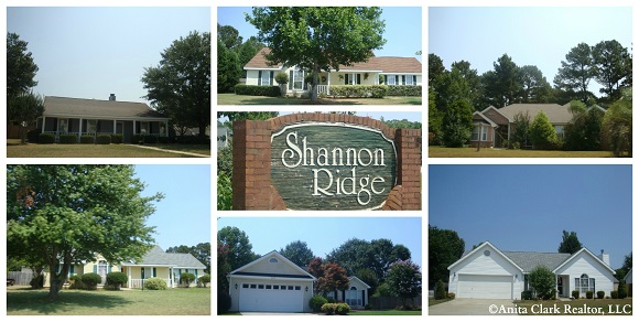 Shannon Ridge Subdivision in Bonaire GA 31005