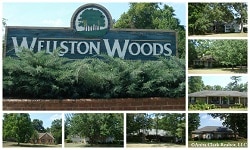 Wellston Woods Subdivision in Warner Robins Georgia 31093