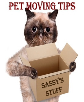 Pet Moving Tip Pet Moving Tip