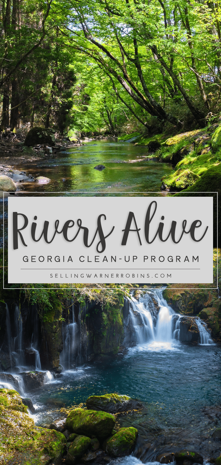 Georgia's River Alive Clean-Up Program