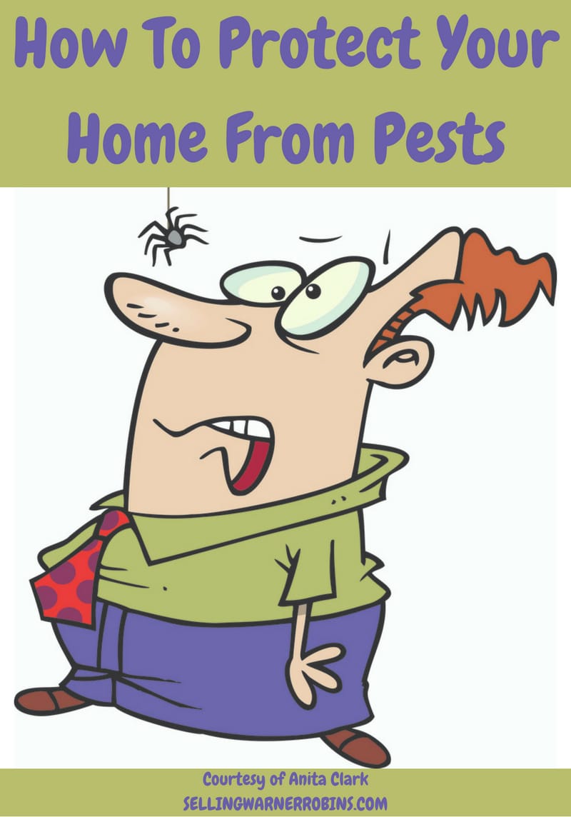 How To Protect Your Home From Pests