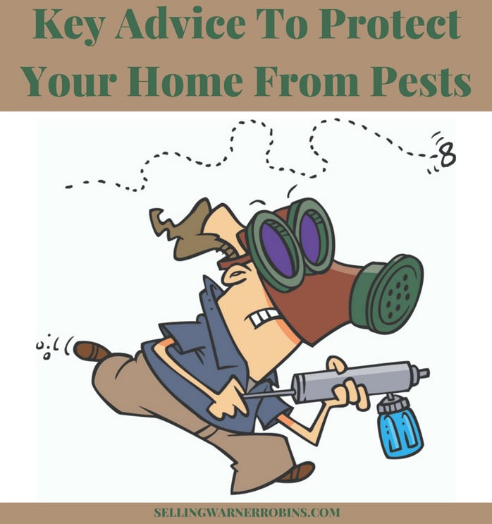 Key Advice To Protect Your Home From Pests