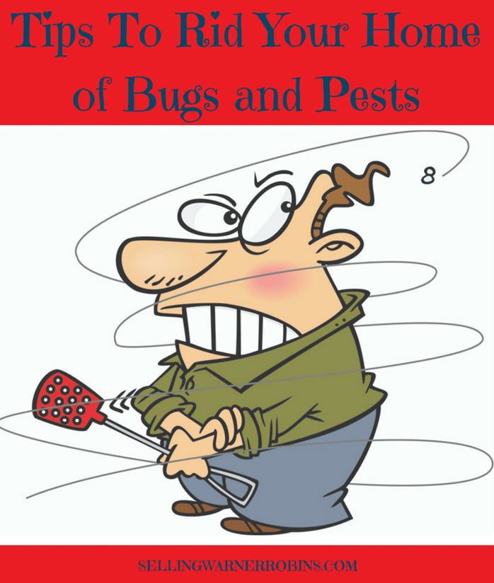 Tips To Rid Your Home of Bugs and Pests