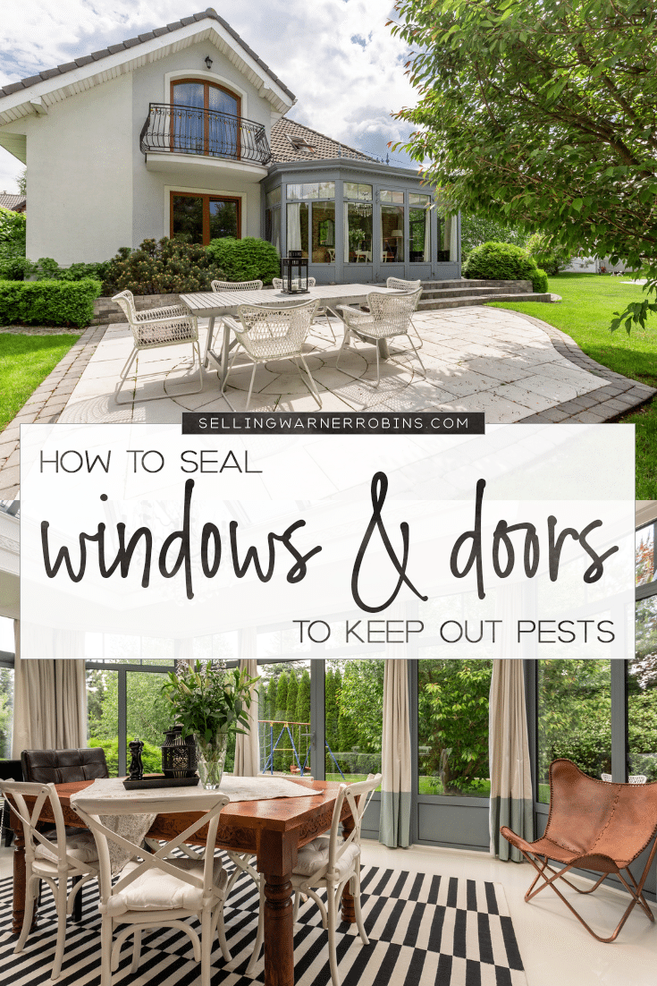 How to Seal Windows and Doors to Keep Out Pests