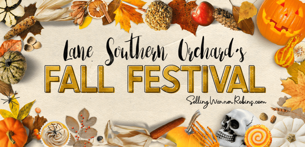 Lane Southern Orchard's Fall Festival