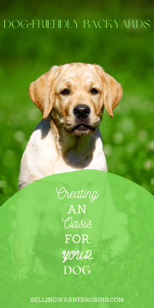 Dog-Friendly Backyards