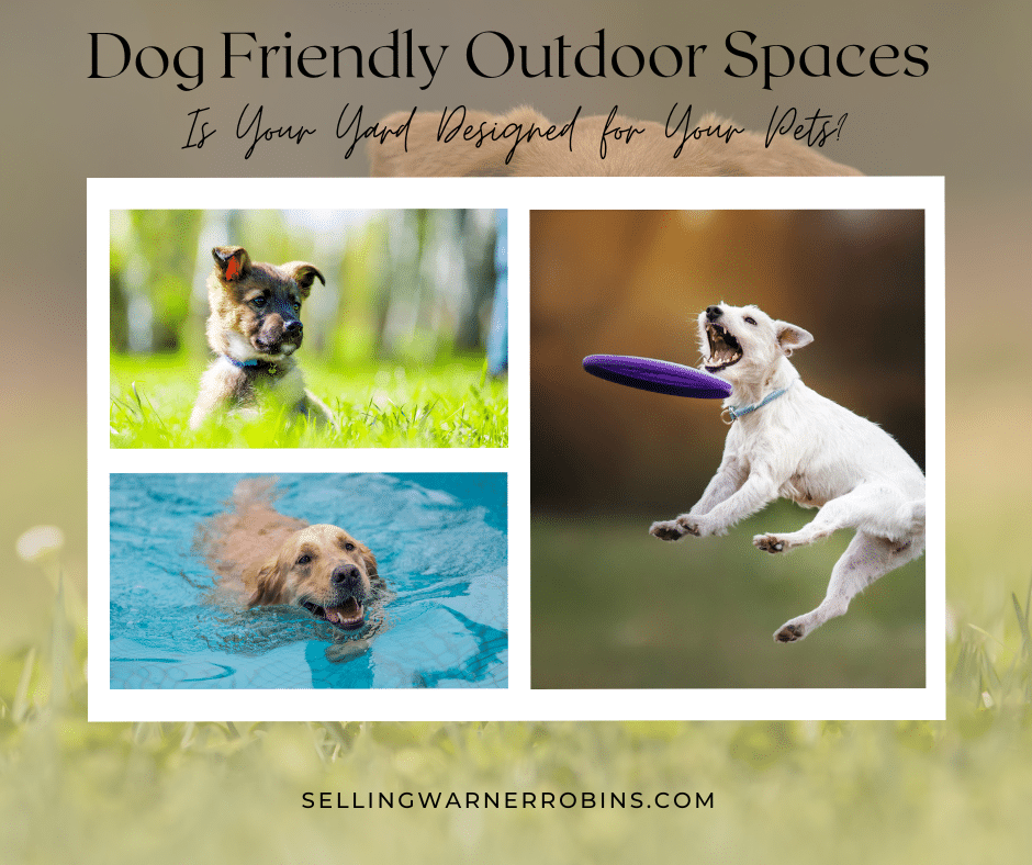 Dog Friendly Outdoor Spaces